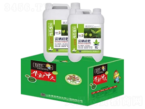 �������-�S�����B(t��i) 