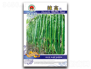 ����-�����N��-�߿ƷN�I(y��)