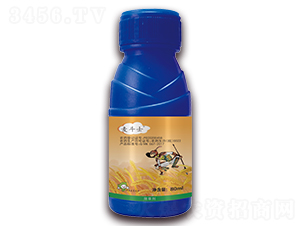 5%��������-����ʿ-�S�՘�(l��)