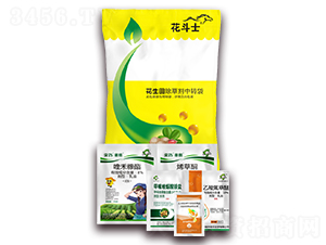 ��������݄��ײ�-����ʿ-�S�՘�