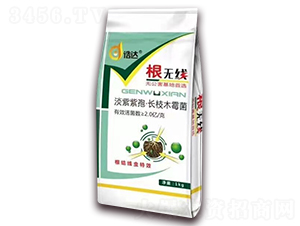 淡紫紫孢·長(zhǎng)枝木霉菌-根無(wú)線-浩達(dá)生物