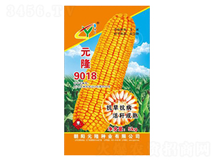 Ԫ¡9018-Ԫ¡�N�I(y��)