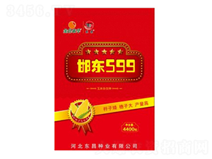 ���|599-�|��