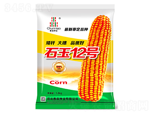 ʯ��12̖(h��o)-�����N�I(y��)