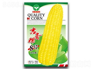 ����Ŵ8̖(h��o)-���׷N��-ȪԴ