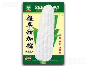 �������Ŵ-���׷N��-ȪԴ