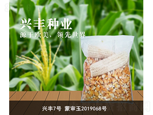 �d�S7̖(h��o)-�d�S�N�I(y��)