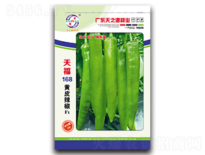 �츣168�SƤ����-�����N��-��֮Դ