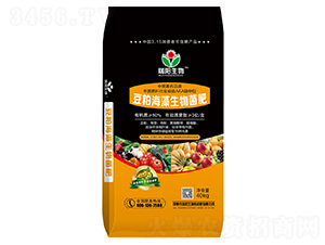 ���ɺ����������-���(y��ng)