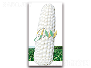 ��ѩ����-�rʳ���׷N��-�I(y��ng)�ھ���