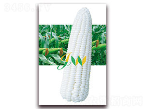 �ܿ�Ŵ-�rʳ���׷N��-�I(y��ng)�ھ���