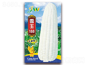 ѩ��188-�rʳ���׷N��-�I(y��ng)�ھ���