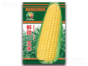 �r��48����-���׷N��-�r(n��ng)֮��