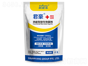 ������΢�������-����-������