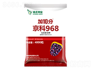 加10分京科968-德農種業(yè)
