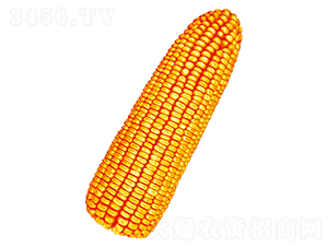 혆�7̖(h��o)-���׷N��-�S��(l��)�N�I(y��)