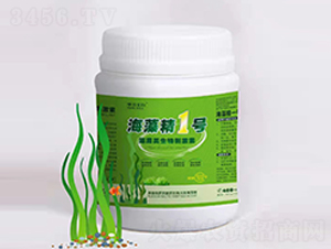 海藻類生物刺激素-海藻精1號-摩蘇米拉