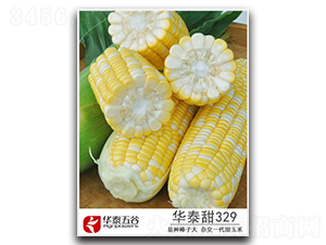 �A̩��329-�����׷N��-�A̩���