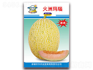 火洲瑪瑙-甜瓜種子-農(nóng)樂(lè)農(nóng)業(yè)