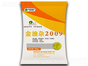 �����s2009-�Ͳ˷N��