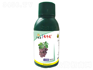 ���S���{(di��o)��(ji��)��-�������