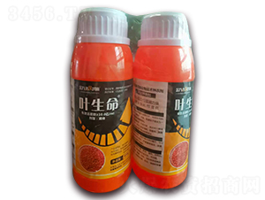 ���Ͷ๦�����＼�g(sh��)�N��-�~����-���f�_���r��