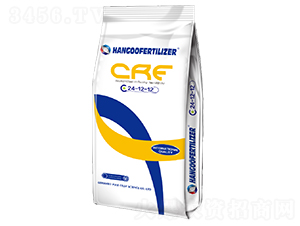 ��(f��)�Ϸ�24-12-12-�h��-�՘�����