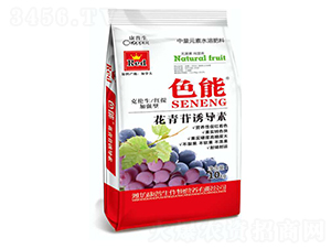 �������T����-ɫ��-������