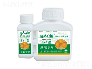 ���(zhu��n)�ú���ֲ��ˮ�ܷ��ϣ�1+1�ͣ�-�������-��Gֲ��