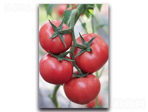 ����10̖-���ѷN��-��ľ�N��