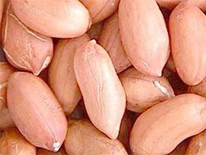 ����1̖(h��o)-�����N��-���S�r(n��ng)�I(y��)