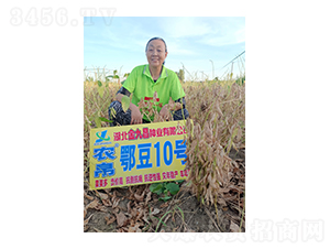 ����10̖-��Ų�