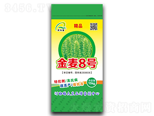 ����8̖��С���N�ӣ�-����-���ڷN�I(y��)