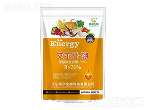 ��������-�P������