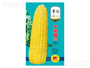 ���SŴ309-���׷N��-��Դ�r�I(y��)