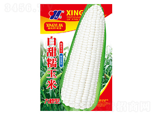 ����Ŵ-���׷N��-��Դ�r�I(y��)