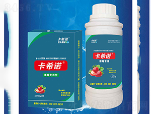 草莓專用-卡希諾