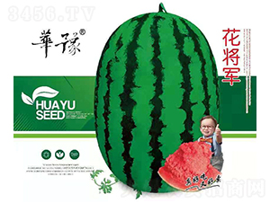 ����܊-���ϷN��-��Դ�r(n��ng)�I(y��)