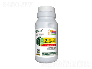 500g五谷豐-豐收源