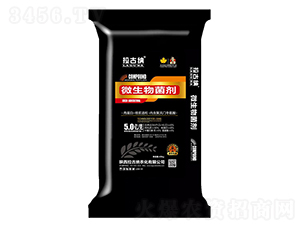 ΢�������-���ż{-����ʘI(y��)