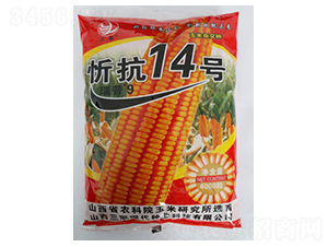 �ÿ�14̖-���׷N��-��(li��n)