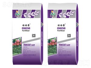 �߸����B(t��i)���x���w����(sh��)��(zhu��n)��Ϳ�U��-�N�N�r(n��ng)-�����r(n��ng)�I(y��)