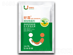 霜霉疫病病菌專(zhuān)用微生物菌劑-好霜-稼稼樂(lè)