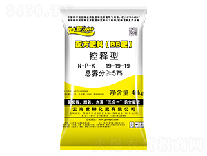 ������䷽����19-19-19-����