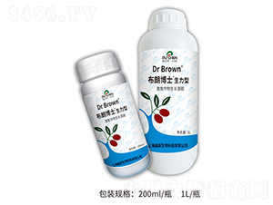 ���ʲ�ʿ-������-��������