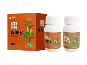 ���������׌��ø߮a(ch��n)�M��-����M��-������