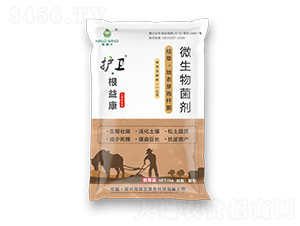 �o(h��)�l(w��i)�����濵-���G��