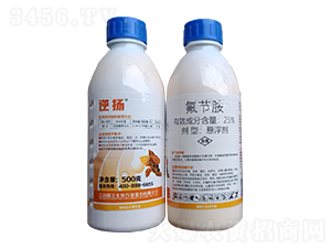 25%����(ji��)��-��P-�����m�r�I(y��)