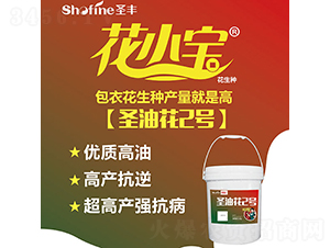 ʥ�ͻ�2̖(h��o)-�����N��-ʥ�S�N�I(y��)