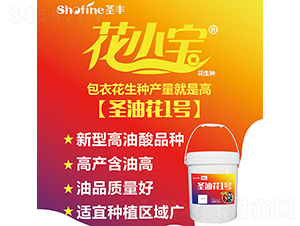 ʥ�ͻ�1̖(h��o)-�����N��-ʥ�S�N�I(y��)